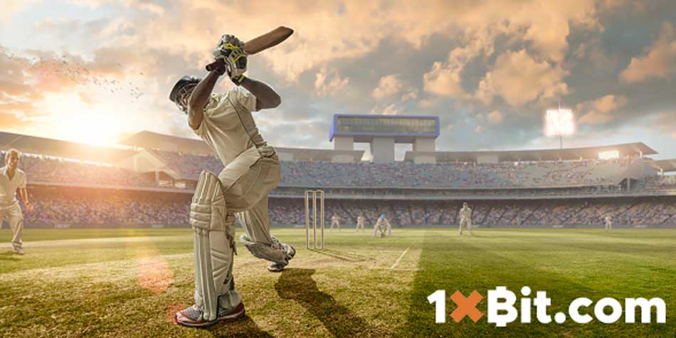 1xBit Cricket review