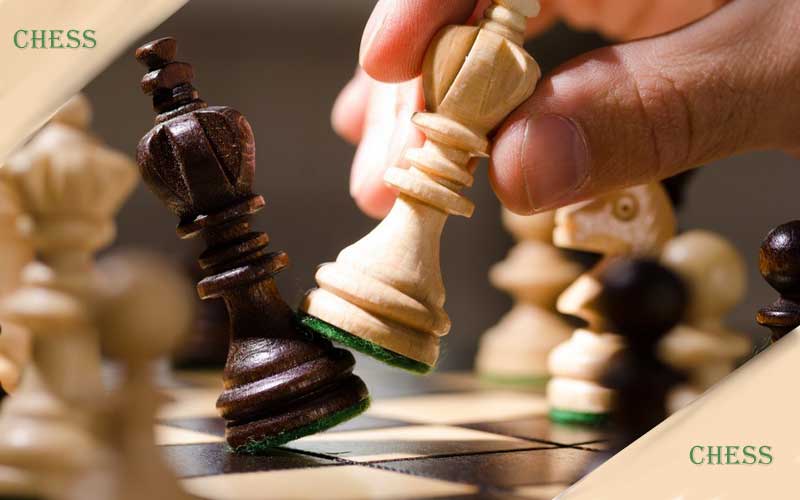 How to Bet on Chess: A Beginner's Guide.