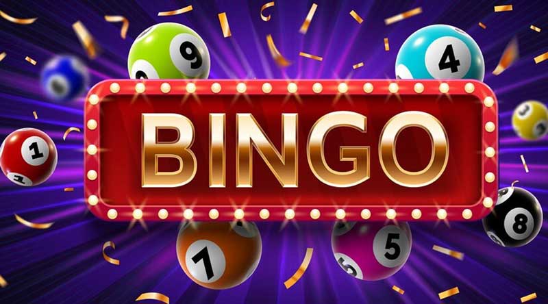 What is Bingo and how to play it?