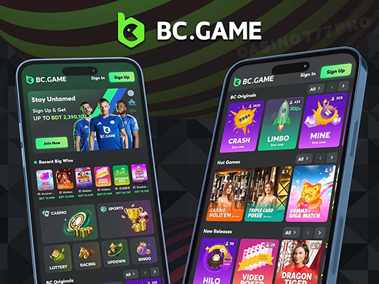 BC Game Mobile Version of the Website