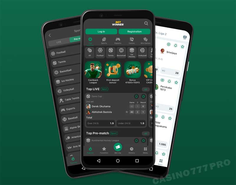 Betwinner Mobile Version