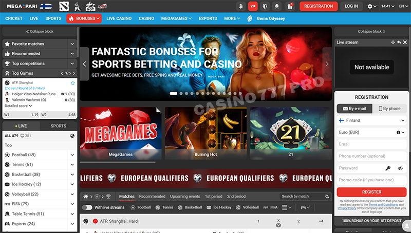 Megapari Interface and Design of the Site