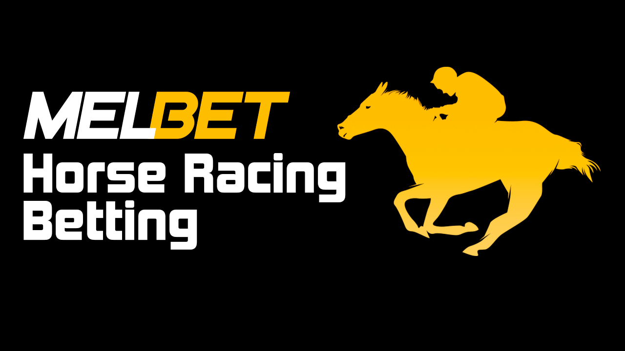 Melbet horse racing