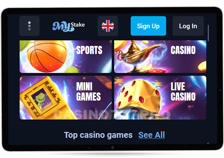 Mystake Mobile Version of the Website