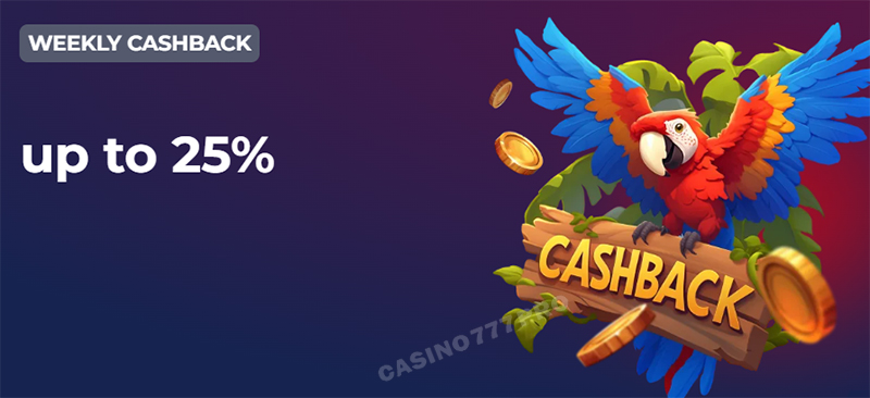 Nine Casino Weekly Cashback Bonus of 25%
