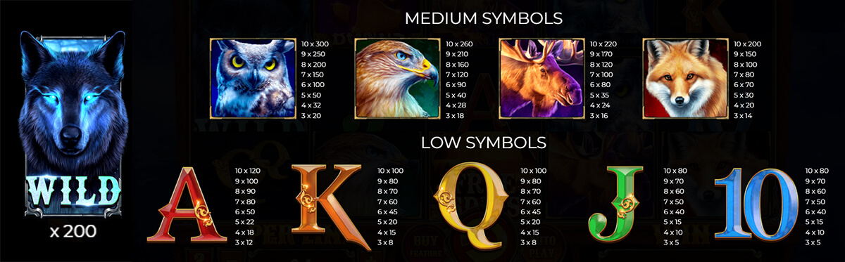 Symbols and Payouts at Dark Wolf
