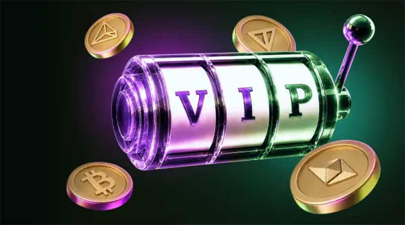 SpinBetter bonus terms