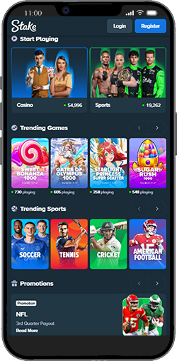 Stake Casino App for iOS