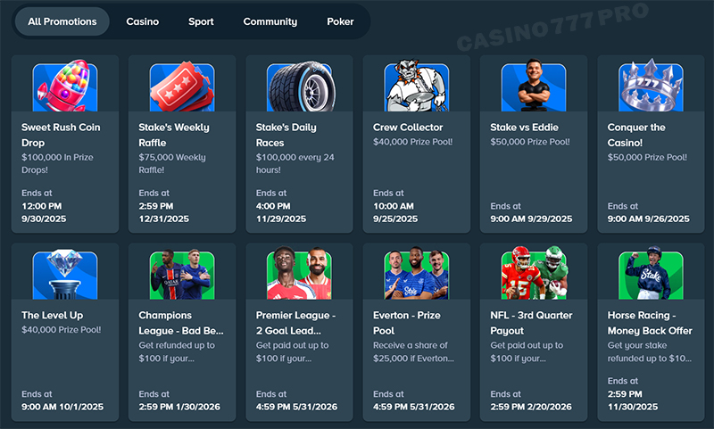 Stake Promotions and Features