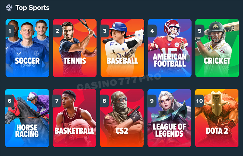 Stake Sports Betting